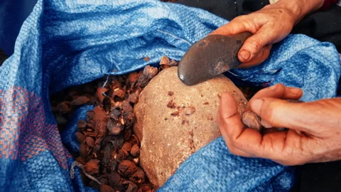 Woman Using A Stone To Break Argan Nuts Stock Footage 314864719