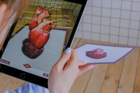 Woman using tablet with augmented reality app - 3d model of human heart Stock Photos