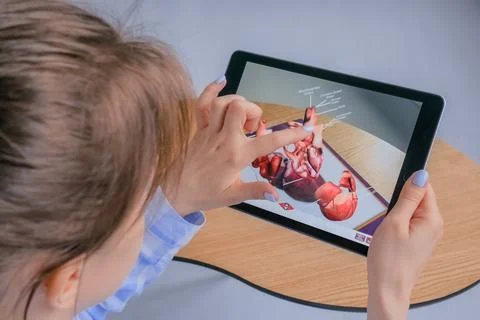 Woman using tablet with augmented reality app - 3d model of human heart Stock Photos