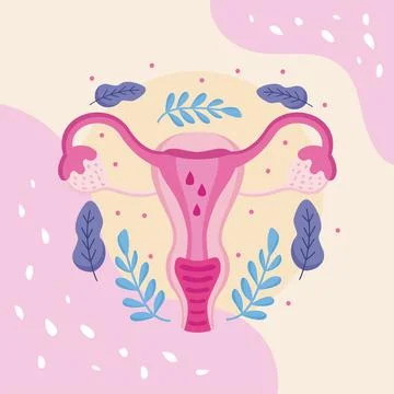 PROLAPSED UTERUS Of Women Medical Education Scheme Vector Set