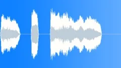 Woman Various Single Scream 1 Sound Effect