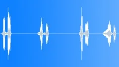 Woman voice Yes Sir! Sound Effect