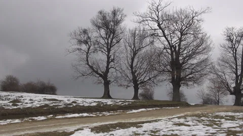 Woman walk winter time rural climb snow road village nature holiday girl rustic Stock Footage 30441153
