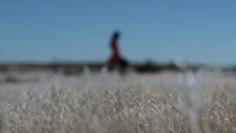 Woman walking alone on Empty Dusty Desert Road, Namibia Stock Footage 337436154