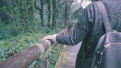 Woman walking alone in a forest Stock Footage 79455366