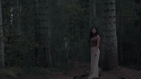 Woman walking alone through forest surrounded by pine trees at sunset in Hawaii Stock Footage 314683088