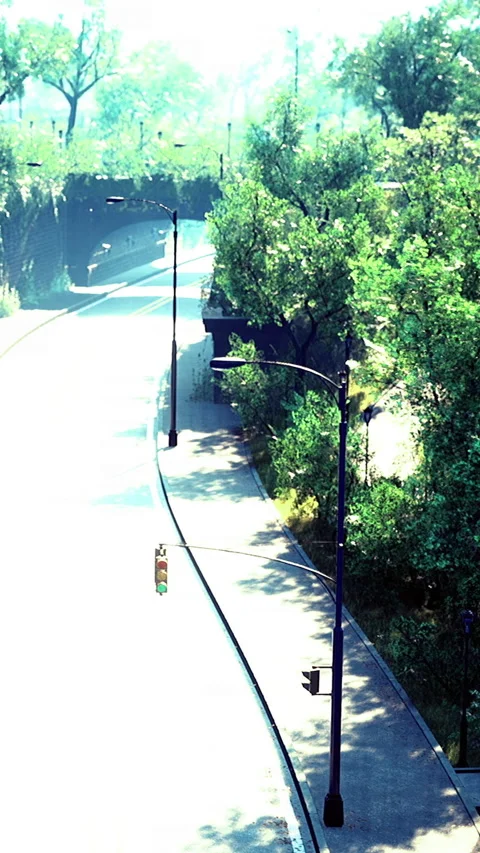 Woman walking along tree lined path in a sunny area near a road Stock Footage 335969976