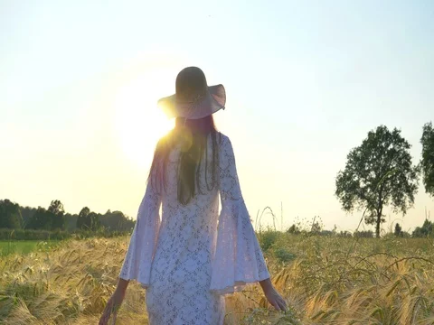 A woman is walking along a wheat field with a white dress Stock Footage
