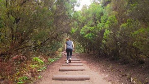 Woman walking away on path through lush forest Stock Footage 294686089