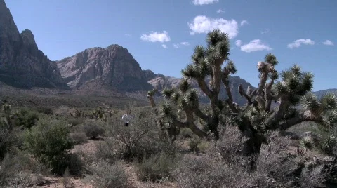 Woman walking in the desert Stock Footage 373653
