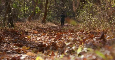 Woman Walking Down Forest Path In Autumn Vídeo Stock 119003099
