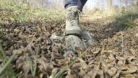 Woman walking down a forest path on a sunny day in autumn Stock Footage 146466864