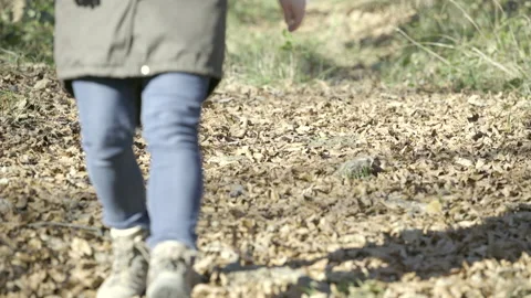 Woman walking down a leaf covered forest path in sunshine Stock Footage 146467412