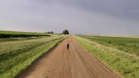 Woman Walking Down Moody Empty Road in South Africa Stock Footage 133247938