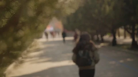 Woman Walking Down Tree-Lined Path in Beijing Park with People in Background Stock Footage 345832494
