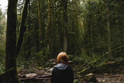 Woman walking on empty path through green forest Stock Photos