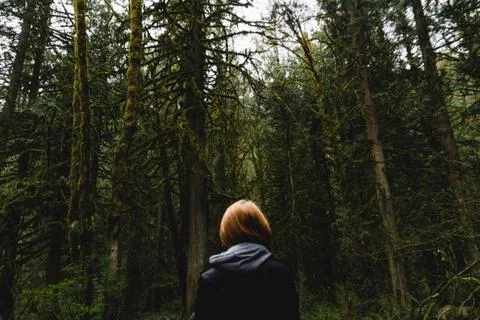 Woman walking on empty path through green forest Stock Photos