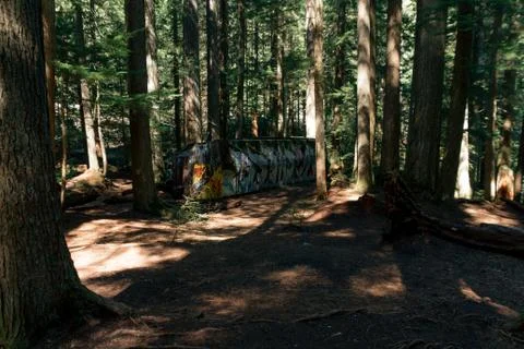 Woman walking on empty path through green forest Stock Photos