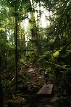 Woman walking on empty path through green forest Stock Photos