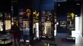 Woman walking in exhibition room about human evolution 4k or 4k+ Resolution