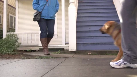 Woman Walking Vídeo Stock 75655663