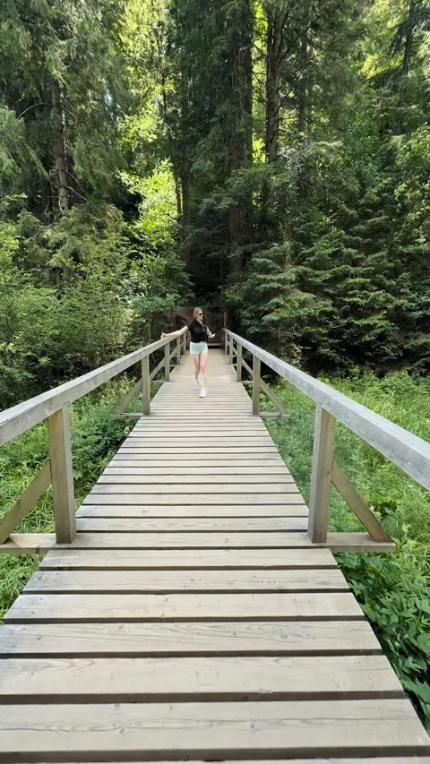 Woman Walking on Forest Bridge Stock Footage 328615005