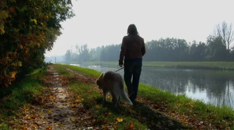 Woman walking with her dog along a river in a sunny autumn day Stock Footage