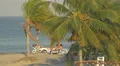 Woman walking with her dog on the beach in Panama 4k or 4k+ Resolution