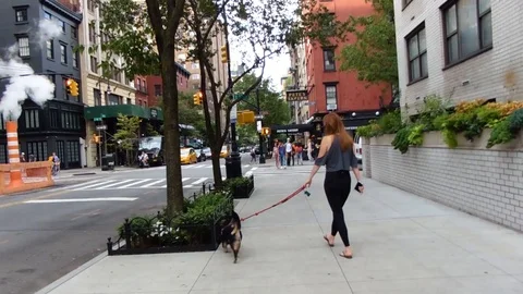 Woman is walking with her dog in New York City Stock Footage