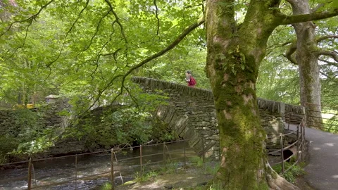 Woman Walking Over Lake District Bridge On Route To Loughrigg Fell Stock Footage