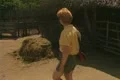 Woman walking over to pig pen to look inside Footage