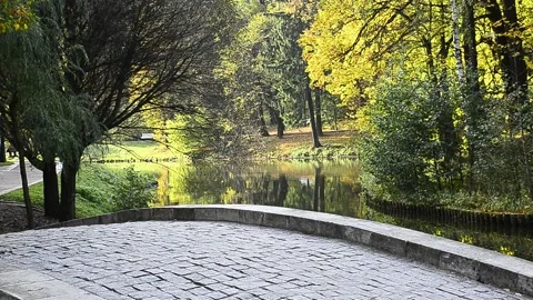 A woman is walking in the park in autumn.  Stock Footage 140684553