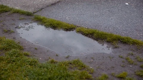 Woman walking puddle reflection Seattle Washington Stock Footage 89810609
