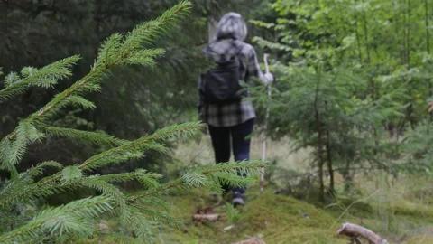 Woman Walking Through Forest with Backpack Searching for Mushrooms Stock Footage 345928304