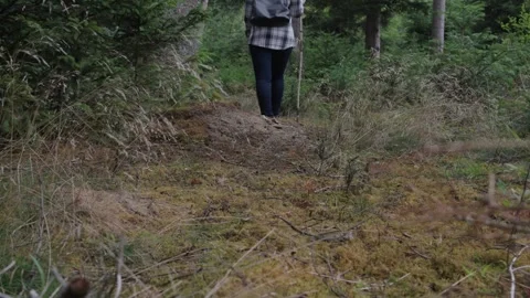 Woman Walking Through Forest with Backpack Searching for Mushrooms Stock Footage 345928318