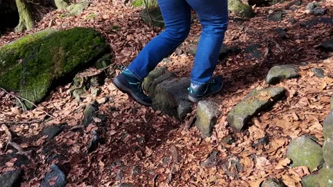 Woman walking through a forest Stock Footage 330167168