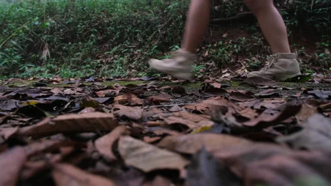  woman walking through forest path wearing mountain boots. Concept of adventure Vídeos de archivo 225039244
