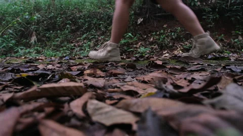  woman walking through forest path wearing mountain boots. Concept of adventure Stock Footage 225039419