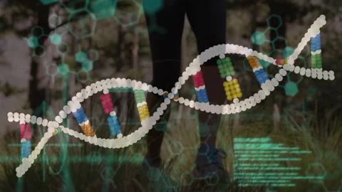 Woman walking through glade while genomic helix reacting to motion and animating Stock Footage 315530183