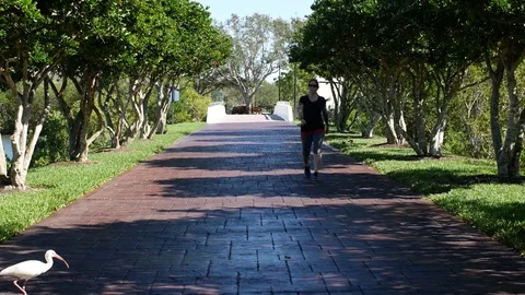 Woman walking through the park while birds cross the path. Stock Footage 71775737