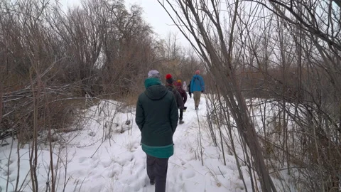 Woman walking through willows on winter path Stock Footage 271153377