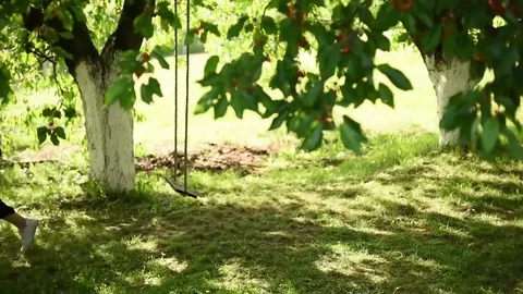 Woman walking under the cherry tree passing by the swing Video stock 75902764