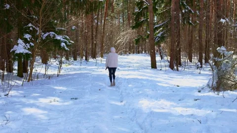 Woman walking in winter in the forest with her dog Stock Footage 266006341