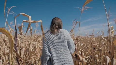 Woman Walks In The Cornfields Video stock 169693064