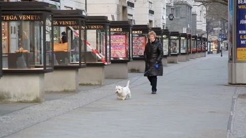 Woman walks dog on expensive shopping street, Kudamm, Berlin, Germany Stock Footage