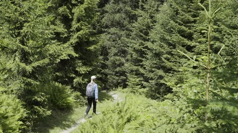 Woman walks down path through trees on summer day Stock Footage 148177814
