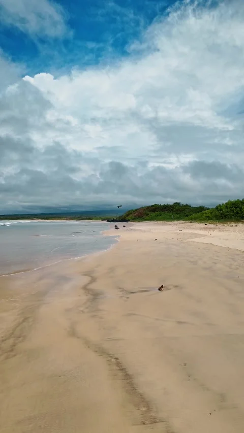 Woman walks by the empty beach. Wave rolls to the shore. Large white cloudscape Stock Footage 335167333