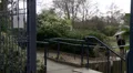 Woman walks up steps in park talking on mobile HD Footage