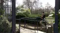 Woman walks through park alone on phone HD Footage