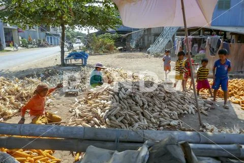 Woman in Wat Hanchey, Cambodia Stock Photos